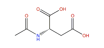 N-Acetyl-L-aspartic acid